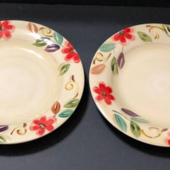 Pier 1 Imports Laurina 11.25” Ceramic Stoneware Dinner Plate  Pier 1 Imports Laurina 11.25” Ceramic Dinner Plate Set of 5